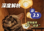 关于实力对比：谁能在接下来的比赛中独占鳌头？的信息
