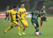 关于绿城主场赢球，领先优势不断扩大的信息
