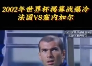 法国队淘汰德国成为欧锦赛黑马